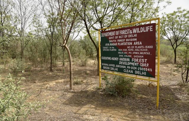 The department is hopeful that in next one and half years the place will be made open for public. (S Burmaula / HT Photo) The department is hopeful that in next one and half years the place will be made open for public. (S Burmaula / HT Photo)