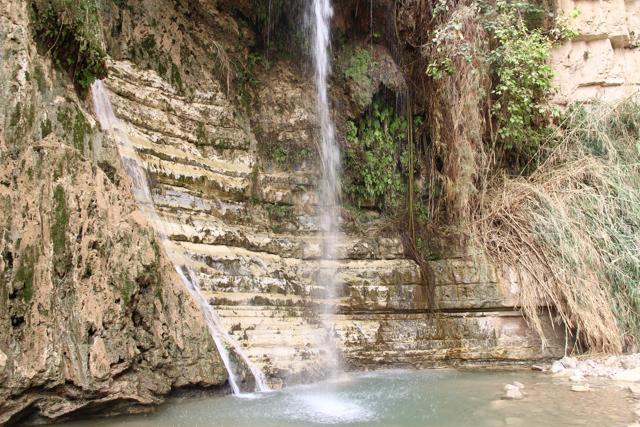 A sparkling waterfall inside Ein Gedi, on the shore of the Dead Sea A sparkling waterfall inside Ein Gedi, on the shore of the Dead Sea