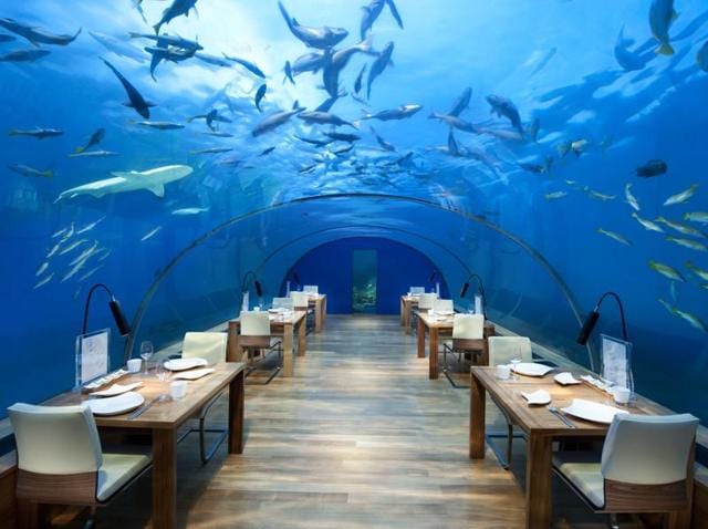 When the Hurawalhi Island Resort opens this winter, it will also open the doors to the “5.8” undersea restaurant, named after its watery location 5.8 meters under the lagoon. (AFP) When the Hurawalhi Island Resort opens this winter, it will also open the doors to the “5.8” undersea restaurant, named after its watery location 5.8 meters under the lagoon. (AFP)