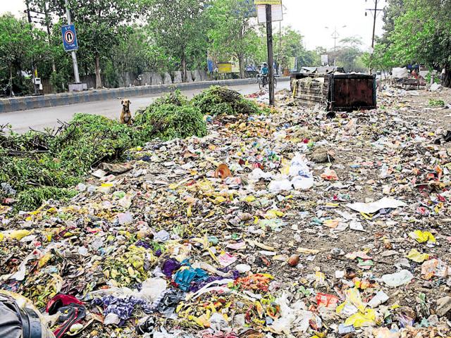 The draft bylaws will be placed before the executive committee of the Ghaziabad Municipal Corporation in a meeting on June 22. (Sakib Ali/HT Photo) The draft bylaws will be placed before the executive committee of the Ghaziabad Municipal Corporation in a meeting on June 22. (Sakib Ali/HT Photo)