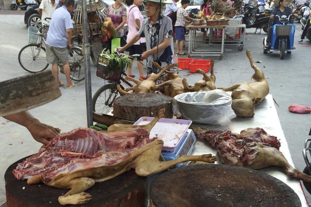 A vendor chops dog meat for sale at a market ahead of a dog meat festival in Yulin, in south China's Guangxi Zhuang Autonomous Region. (AP) A vendor chops dog meat for sale at a market ahead of a dog meat festival in Yulin, in south China's Guangxi Zhuang Autonomous Region. (AP)