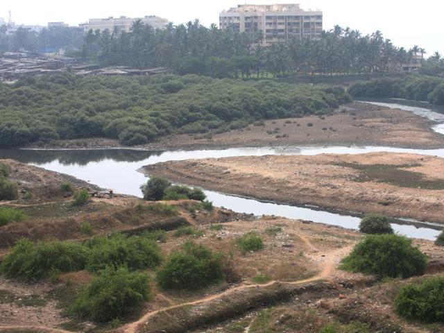 Housing - Terrace Bungalows - Versova Mangroves - HT Photo by Ritesh Uttamchandani 21.11.2006 Housing - Terrace Bungalows - Versova Mangroves - HT Photo by Ritesh Uttamchandani 21.11.2006