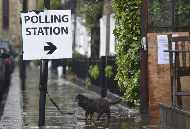 A dog waits for its owner outside a polling station for the Referendum on the European Union in west London in Britain on June 23, 2016. (REUTERS) A dog waits for its owner outside a polling station for the Referendum on the European Union in west London in Britain on June 23, 2016. (REUTERS)