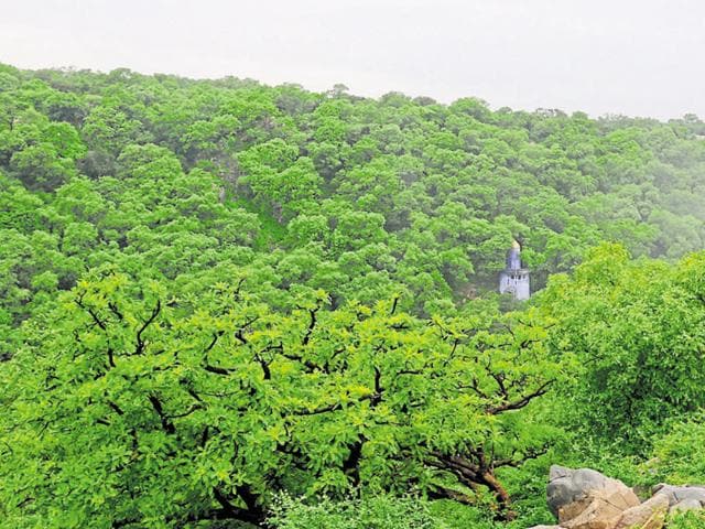 Govt tweaks green rules to let in private players | Latest ...