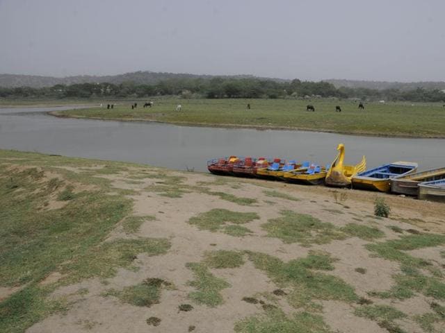 With a view to revive the lake before monsoon, the tourism department has already started clearing the nearby areas and also cleaning the silt deposited in the lake’s bed so that rainwater can be stored.(HT File Photo) With a view to revive the lake before monsoon, the tourism department has already started clearing the nearby areas and also cleaning the silt deposited in the lake’s bed so that rainwater can be stored.(HT File Photo)
