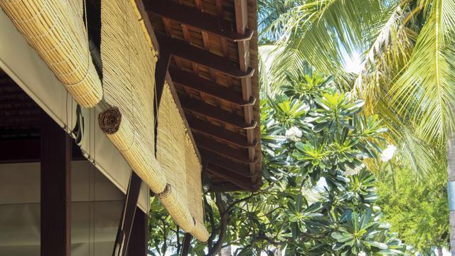 Beat the heat: 7 DIY natural ways to summer-proof your house - Hindustan  Times