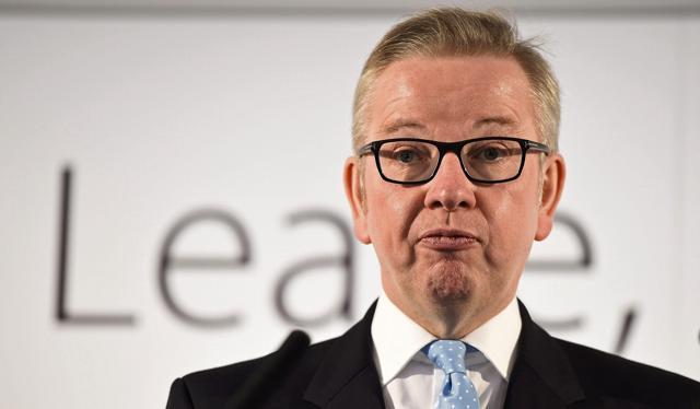 Britain's secretary of state for justice Michael Gove presented the more sober, cerebral face of the ‘Leave’ campaign. (Reuters) Britain's secretary of state for justice Michael Gove presented the more sober, cerebral face of the ‘Leave’ campaign. (Reuters)