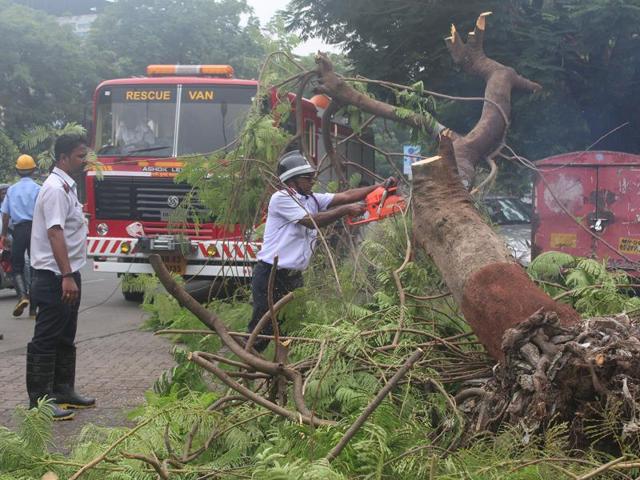 A fire brigade official cuts a fallen tree after a heavy spell brought it down in Vashi. (Satyabrata Tripathy)