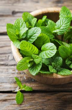 Mint clears the throat, nose and lung congestion. (Istock)