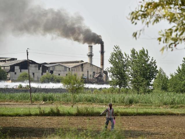 In this photograph taken on May 8, 2016, an Indian villager walks in front of a sugar factory in the edge of the village of Gangnauli in Uttar Pradesh. (AFP) In this photograph taken on May 8, 2016, an Indian villager walks in front of a sugar factory in the edge of the village of Gangnauli in Uttar Pradesh. (AFP)