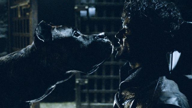 As revenge for all that he put her through, Sansa Stark fed Ramsay Bolton to his hounds. As revenge for all that he put her through, Sansa Stark fed Ramsay Bolton to his hounds.