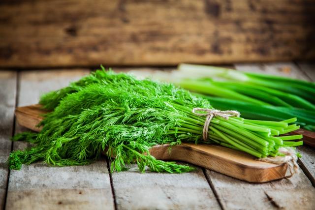 Dill is a popular culinary herb in Russia, eastern Europe, Scandinavia and Finland. (Shutterstock)