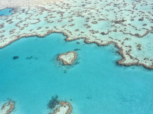 The US News & World Report has come up with their list of the top places to visit in 2016, giving one of the most important marine ecosystems in the world the top spot. The Great Barrier Reef, a UNESCO World Heritage Site and visible from space, was named the world’s best place to visit this year, edging out Paris and Bora Bora in French Polynesia which round out the top three spots. (iStockphoto)