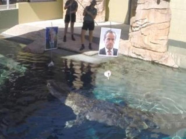 Images of Turnbull and Shorten were hung off ropes above a pool where Burt was swimming. The croc pulled down Turnbull’s image. (Twitter/@sunriseon7) Images of Turnbull and Shorten were hung off ropes above a pool where Burt was swimming. The croc pulled down Turnbull’s image. (Twitter/@sunriseon7)