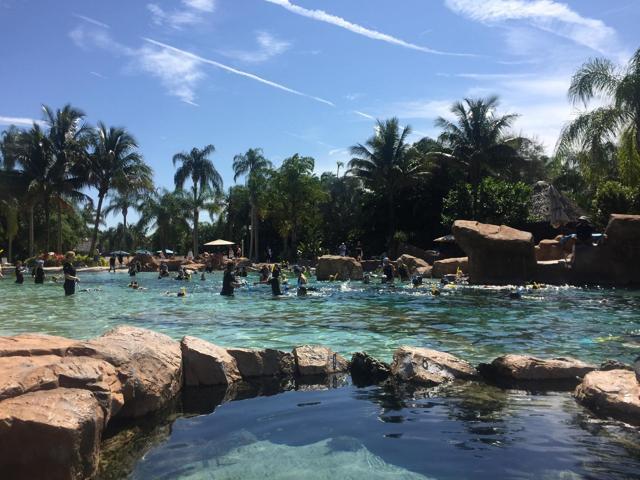 Discovery Cove Orlando, Florida. (AFP)