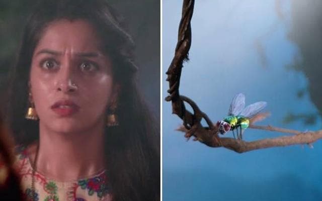 Sasuraal Simar Ka (SSK) brought the icchadhari nagin track last year. Since then, the show has been going strong with various subplots about witches. Last month, they upped the quotient by turning the protagonist, Simar, into a housefly. Sasuraal Simar Ka (SSK) brought the icchadhari nagin track last year. Since then, the show has been going strong with various subplots about witches. Last month, they upped the quotient by turning the protagonist, Simar, into a housefly.