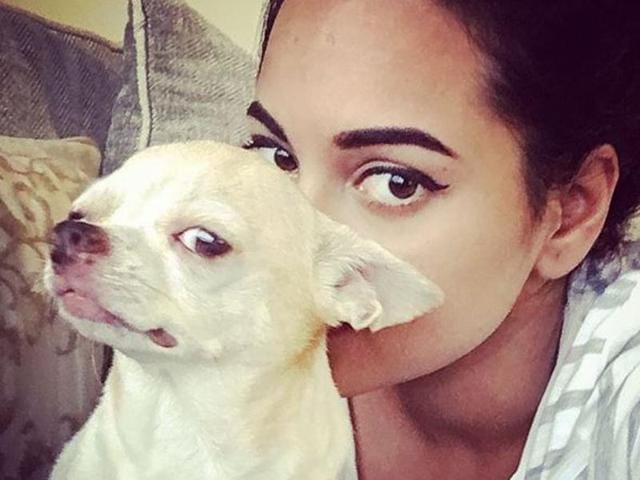 Sonakshi Sinha’s dog is just too cute. And yes, “Hes got the look!” (Instagram) 
