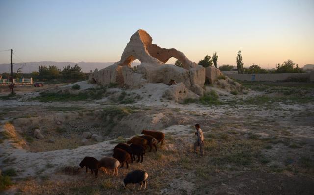 An Afghan shepherd walking with his sheep near the ruins of the house of Sufi mystic and poet Rumi in Khowaja Gholak district of northern Balkh province.  (AFP)