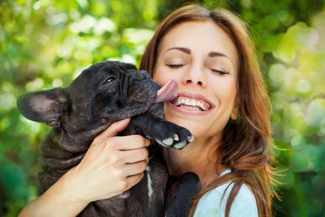 Though the chances are rare, but Capnocytophaga canimorsus, a bacterium frequently isolated in the oral cavities of cats and dogs, can make you terribly sick. (Shutterstock) Though the chances are rare, but Capnocytophaga canimorsus, a bacterium frequently isolated in the oral cavities of cats and dogs, can make you terribly sick. (Shutterstock)