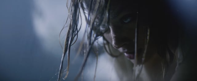 Some of the close ups are stunning. Some of the close ups are stunning.