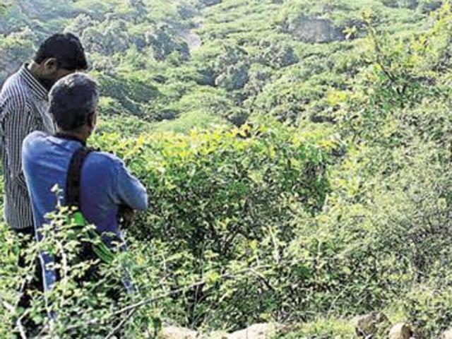 After 25 Yrs, Forest Dept Reclaims Encroached Land - Hindustan Times