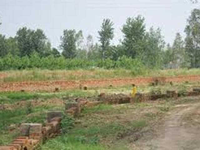 A barren agriculture land that was shown as a residential colony to get higher compensation, in Piplanwala village on the outskirts of Hoshiarpur. (HT File Photo) A barren agriculture land that was shown as a residential colony to get higher compensation, in Piplanwala village on the outskirts of Hoshiarpur. (HT File Photo)