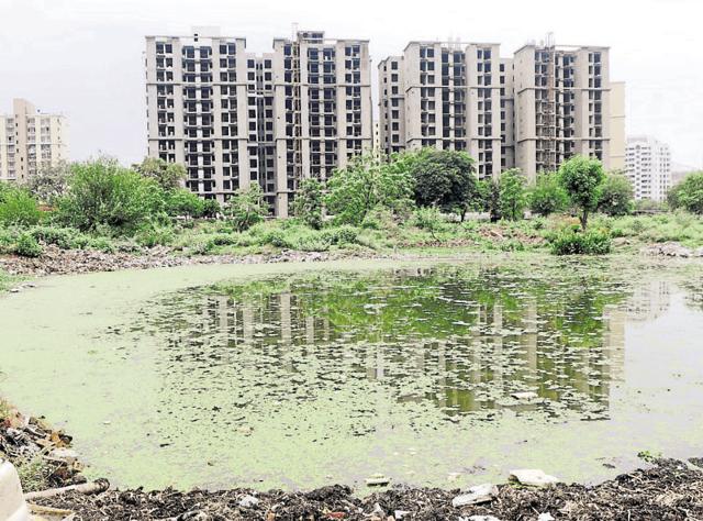 The Sector 47 pond is still in shambles, covered with green algae.(Abhinav Saha/HT Photo) The Sector 47 pond is still in shambles, covered with green algae.(Abhinav Saha/HT Photo)