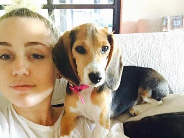 Miley Cyrus chilling with her dog.  (Instagram) 