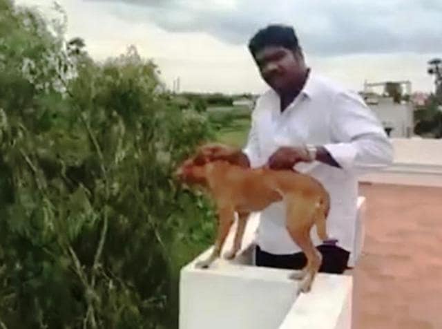 A still from the video that showed a man throwing a dog off a five-storey building in Chennai. A still from the video that showed a man throwing a dog off a five-storey building in Chennai.