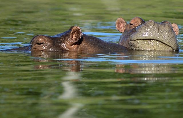 (AFP) (AFP)