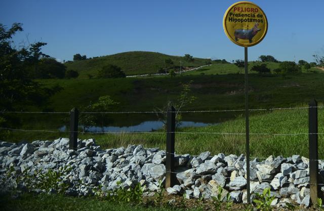 A sign warns about the presence of hippos at the Hacienda Napoles theme park, once the private zoo of drug kingpin Pablo Escobar at his Napoles ranch (AFP) A sign warns about the presence of hippos at the Hacienda Napoles theme park, once the private zoo of drug kingpin Pablo Escobar at his Napoles ranch (AFP)
