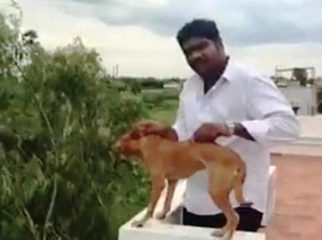 Gautman Sudarshan threw the dog off the roof of a five-storey building while his friend filmed the act. (Video grab) Gautman Sudarshan threw the dog off the roof of a five-storey building while his friend filmed the act. (Video grab)