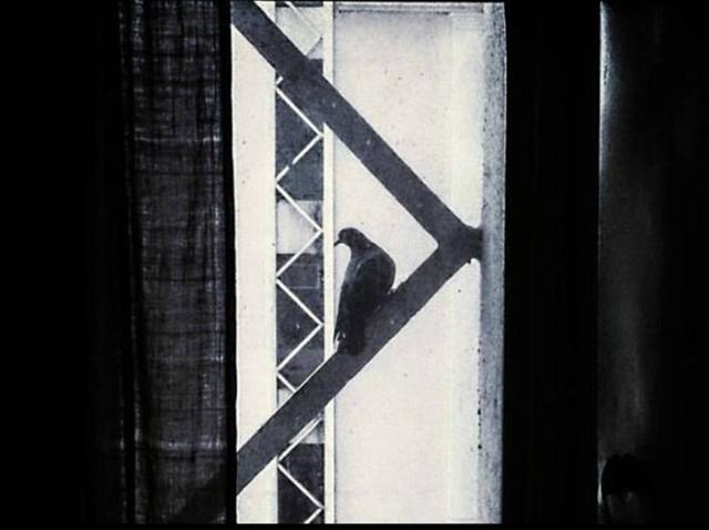 ”Everywhere I stay, I see them pigeons perched outside the window. I used to be scared of them, their popping red eyes, their gurgling at all hours, the smell they leave behind. But, now, I feel they are protectors, watch-birds; dearest nature looking out for me, wherever I am.” — Mumbai (Photo: Adwaita Das) ”Everywhere I stay, I see them pigeons perched outside the window. I used to be scared of them, their popping red eyes, their gurgling at all hours, the smell they leave behind. But, now, I feel they are protectors, watch-birds; dearest nature looking out for me, wherever I am.” — Mumbai (Photo: Adwaita Das)