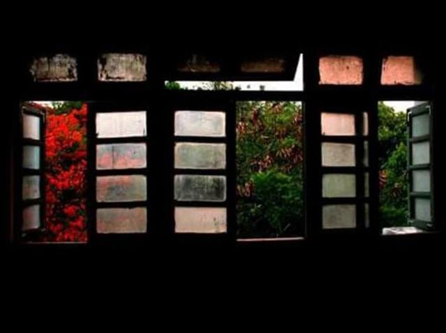 Looking out, a blossoming tree, a fading sun and some dry leaves beautifully juxtapose into the history this window has been through. Numerable debates, procrastinations and some indoor shoots have made this window thick with coats of paint, and made it well-seasoned. - Pune (Photo: Kumar Avyaya) Looking out, a blossoming tree, a fading sun and some dry leaves beautifully juxtapose into the history this window has been through. Numerable debates, procrastinations and some indoor shoots have made this window thick with coats of paint, and made it well-seasoned. - Pune (Photo: Kumar Avyaya)