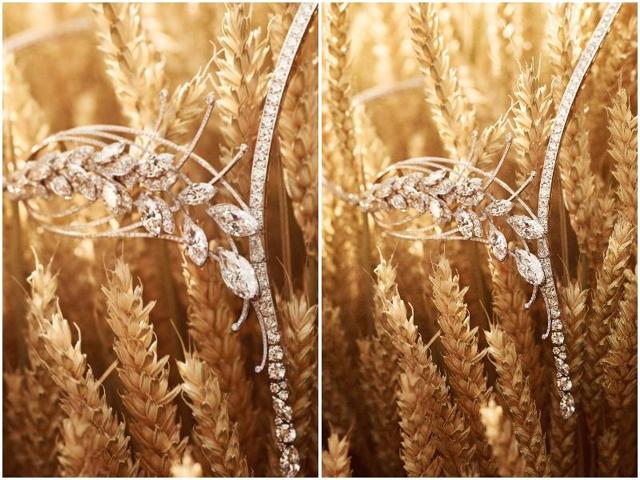 Yellow sapphires, yellow and white diamonds, tourmalines, peridots, aquamarines and emeralds set the tone for the new Les Blés de Chanel collection.  (AFP) 
