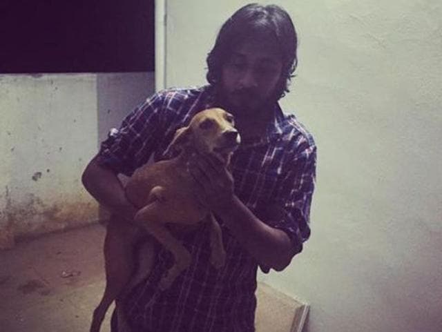 The dog thrown off the roof is believed to be alive and is undergoing treatment. (Photo: Facebook) The dog thrown off the roof is believed to be alive and is undergoing treatment. (Photo: Facebook)