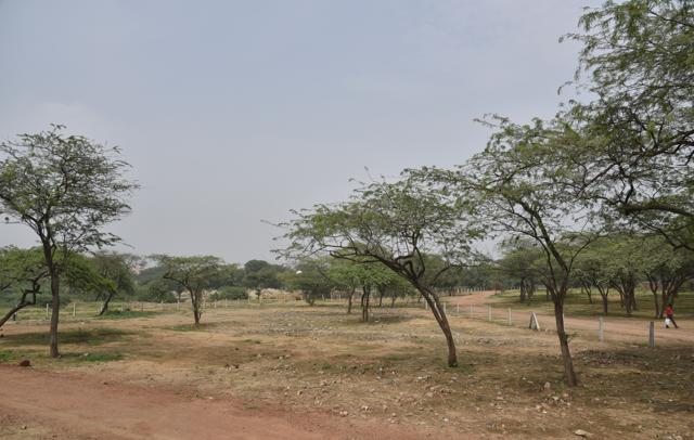 Under project Pehli Nazar, the barren area of the village will be developed to accommodate a parking space for over 500 vehicles. (Tribhuwan Sharma / HT Photo)