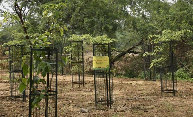 The plan is to convert the barren land here into one of the mostly thickly wooded areas of the city on the lines of Sanjay Van. (Tribhuwan Sharma / HT Photo)