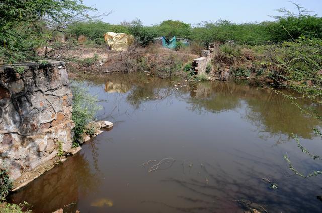 The water body at Rangpuri Pahari will also be revived under the project. (Tribhuwan Sharma / HT Photo)