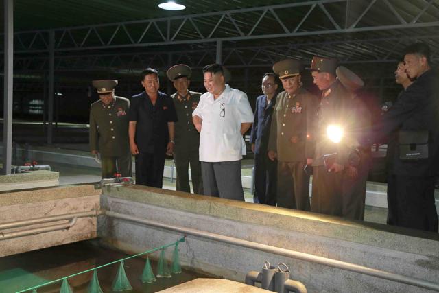 North Korean leader Kim Jong Un gives field guidance to the Pyongyang Terrapin Farm in this undated photo released by North Korea's Korean Central News Agency (KCNA). (Reuters) North Korean leader Kim Jong Un gives field guidance to the Pyongyang Terrapin Farm in this undated photo released by North Korea's Korean Central News Agency (KCNA). (Reuters)