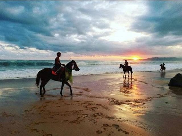 Horse riding and Equine Alignment Therapy is one of the many activities guests can indulge in at the hotel.  (instagram) 