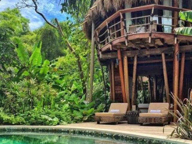 From tree houses to rooms in the ‘Puncak’ (rooms overlooking a lush jungle), the hotel has a variety of accommodation options.    (instagram) 