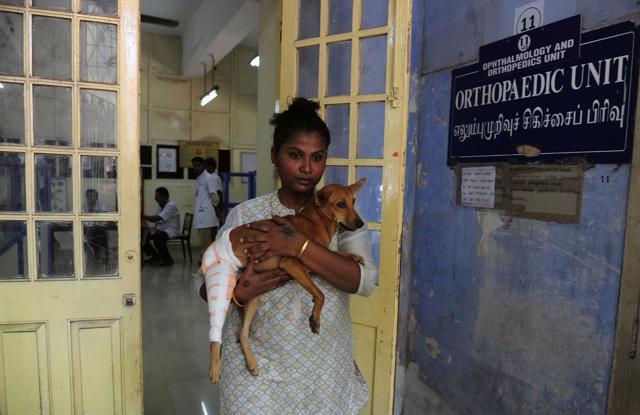 An animal welfare activist carries the injured dog after being treated at Tamil Nadu Veterinary University Hospital in Chennai. (AFP Photo)