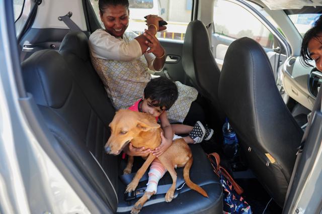 A boy plays with the injured dog after she has been treated at the hospital in Chennai. (AFP)