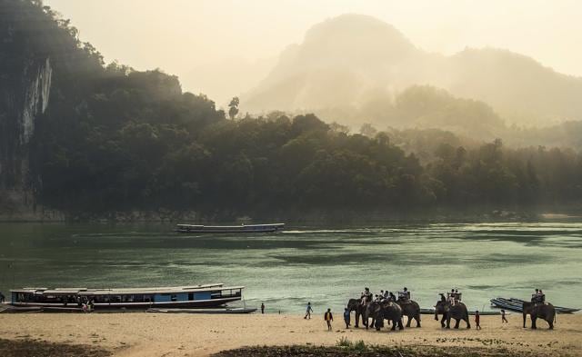 An elephant tour in Luang Prabang. (Istock)