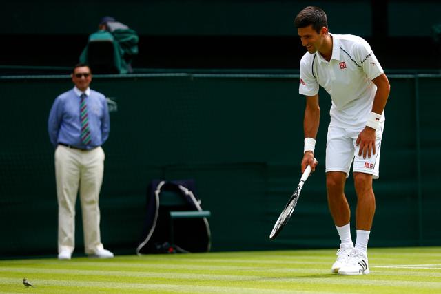 Novak Djokovic never misses a chance to fool around on the Tennis court. (Getty Images) Novak Djokovic never misses a chance to fool around on the Tennis court. (Getty Images)