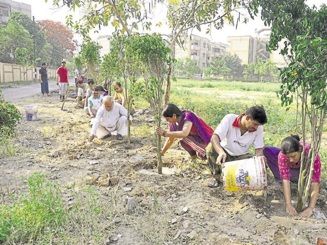 Environmental activists have said that officials should focus more on the survival of the saplings planted, rather than just planting them in large numbers. (HT File Photo) Environmental activists have said that officials should focus more on the survival of the saplings planted, rather than just planting them in large numbers. (HT File Photo)