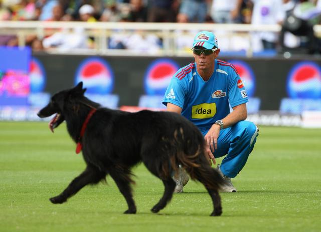 Can we keep him? Shaun Pollock of Mumbai Indians would have been disappointed to see the collar on the dog. (Getty Images) Can we keep him? Shaun Pollock of Mumbai Indians would have been disappointed to see the collar on the dog. (Getty Images)