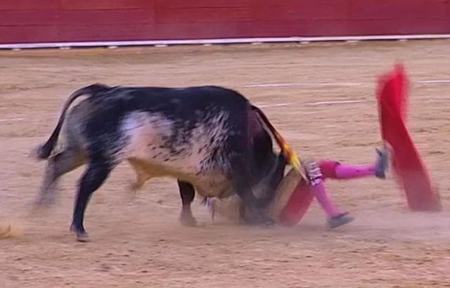 This frame grab taken from Castilla La Mancha TV shows matador Victor Barrio being gored by a bull during a bullfight in the Teruel bullring, east of Spain. (AP) This frame grab taken from Castilla La Mancha TV shows matador Victor Barrio being gored by a bull during a bullfight in the Teruel bullring, east of Spain. (AP)