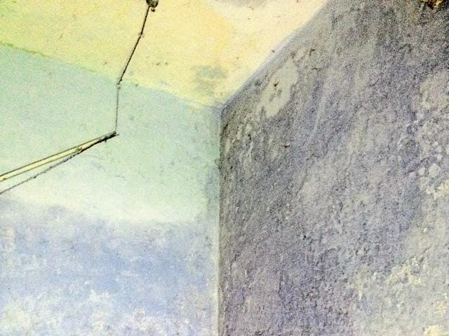 Damp walls are an eyesore in Girls’ Hostel No.2 .(HT Photo)